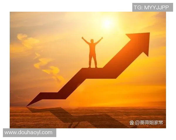 聚焦成就的力量 如何通过坚持与创新实现人生和事业的突破